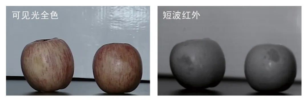 短波紅外鏡頭水果損傷檢測 圖片關鍵詞